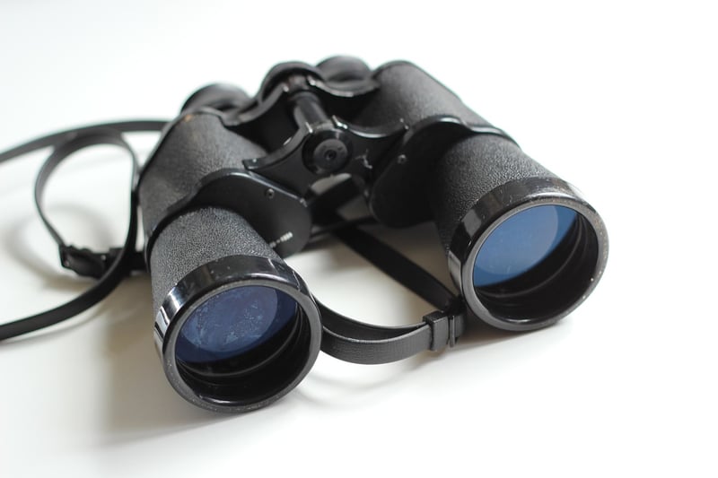 Spying